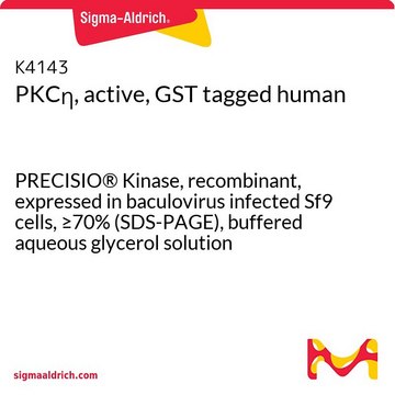 PKCη, active, GST tagged human PRECISIO® Kinase, recombinant, expressed in baculovirus infected Sf9 cells, ≥70% (SDS-PAGE), buffered aqueous glycerol solution