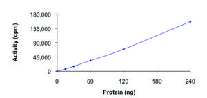 ULK1 (1-649)，活性，GST 标记 人 PRECISIO® Kinase, recombinant, expressed in baculovirus infected Sf9 cells, ≥70% (SDS-PAGE), buffered aqueous glycerol solution