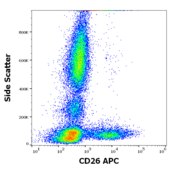 Monoclonal Anti-CD26-APC antibody produced in mouse clone BA5b, purified immunoglobulin, buffered aqueous solution