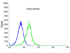 抗-CD31抗体，兔单克隆抗体 recombinant, expressed in proprietary host, clone SP164, affinity isolated antibody