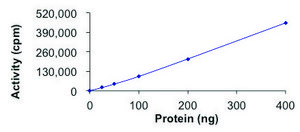 AKT1 (E17K), Active PRECISIO® Kinase, recombinant