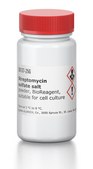 Streptomycin sulfate salt powder, BioReagent, suitable for cell culture