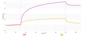 Anti-ASPA Antibody, clone 1F21 ZooMAb® Rabbit Monoclonal recombinant, expressed in HEK 293 cells