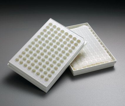 Multiscreen® 96 well Plate, hydrophilic PVDF membrane pore size 0.22 μm, non-sterile