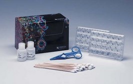 QCM Collagen Cell Invasion Assay, 24-well (8 µm), Colorimetric The Cell Invasion Assay Kit kuses a 24 well plate with 8 um pores, which is ideal for evaluation of invasive tumor cells.