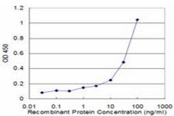 Monoclonal Anti-DCN antibody produced in mouse clone 2B5-G5, purified immunoglobulin, buffered aqueous solution