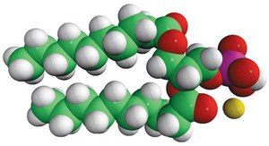 10:0 PA 1,2-didecanoyl-sn-glycero-3-phosphate (sodium salt), chloroform