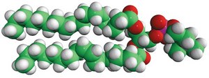 18:0-18:1 PC 1-stearoyl-2-oleoyl-sn-glycero-3-phosphocholine, chloroform