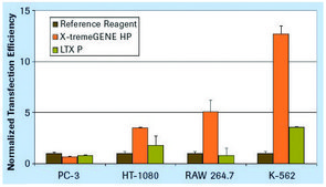 X-tremeGENE™ HP DNA Transfection Reagent High-performance polymer reagent for transfecting many cell lines