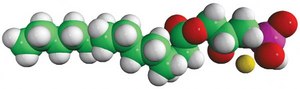 14:0 Lyso PA 1-myristoyl-2-hydroxy-sn-glycero-3-phosphate (sodium salt), powder