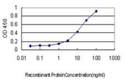 Monoclonal Anti-PSMB4 antibody produced in mouse clone 6G7-E8, purified immunoglobulin, buffered aqueous solution