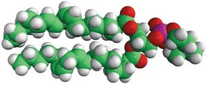 18:2 (Cis) PC (DLPC) 1,2-dilinoleoyl-sn-glycero-3-phosphocholine, chloroform