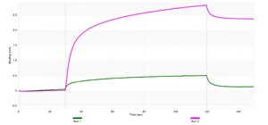 Anti-S1PR2 Antibody, clone 1C18 ZooMAb® Rabbit Monoclonal recombinant, expressed in HEK 293 cells