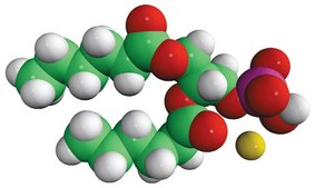 06:0 PA Avanti Research™ - A Croda Brand