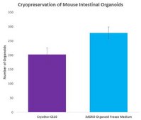 3dGRO® Organoid Freeze Medium Optimized cryopreservation media for multiple organoids cell types.