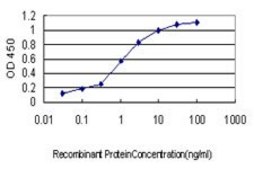 Monoclonal Anti-PSMB2 antibody produced in mouse clone M1, purified immunoglobulin, buffered aqueous solution