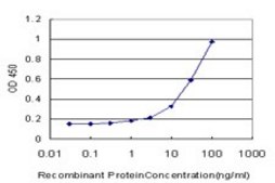 Monoclonal Anti-VDR antibody produced in mouse clone 2F4, purified immunoglobulin, buffered aqueous solution