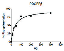 PDGFRb active human recombinant, expressed in baculovirus infected Sf9 cells, ≥70% (SDS-PAGE)