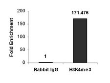ChIPAb+ 三甲基组蛋白H3（Lys4）- ChIP经验证的抗体和引物组，兔单克隆抗体 from rabbit