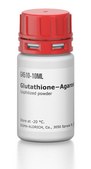 Glutathione−Agarose lyophilized powder