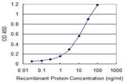 Monoclonal Anti-NOTCH1 antibody produced in mouse clone 4G1, purified immunoglobulin, buffered aqueous solution