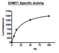 EHMT1 human recombinant, expressed in E. coli, ≥63% (SDS-PAGE)