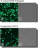 X-tremeGENE™ 9 DNA Transfection Reagent Polymer reagent for transfecting common cell lines