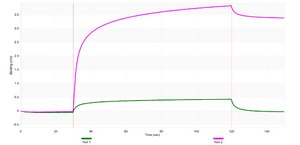 Anti-CTNND1/p120CTN Antibody, clone 2C22 ZooMAb® Rabbit Monoclonal recombinant, expressed in HEK 293 cells