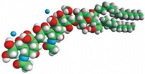 Ganglioside GD3 (Bovine Milk) Avanti Research™ - A Croda Brand
