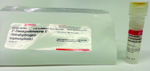 2′-Deoxyadenosine 5′-triphosphate sodium salt solution 100 mM, pH 7