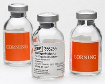Corning® Matrigel® Matrix for Organoid Culture Phenol Red Free, pack of 10 mL
