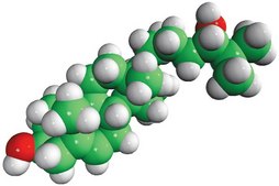 24(S)-hydroxycholesterol Avanti Research™ - A Croda Brand