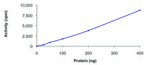 LATS1，活性，GST 标记 人 PRECISIO®, recombinant, expressed in baculovirus infected Sf9 cells, ≥70% (SDS-PAGE), buffered aqueous glycerol solution