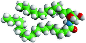 C20 Ceramide (d17:1/20:0) Avanti Research™ - A Croda Brand 860648P, powder