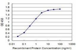 Monoclonal Anti-KCNK10 antibody produced in mouse clone 1C1, purified immunoglobulin, buffered aqueous solution
