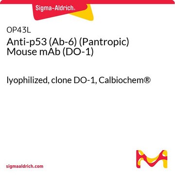 Anti-p53 (Ab-6) (Pantropic) Mouse mAb (DO-1) lyophilized, clone DO-1, Calbiochem®