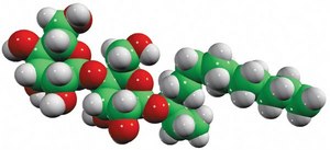 Mal(11.2) tridecan-3-yloxy-β-D-maltoside, powder