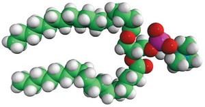 17:0 PC 1,2-diheptadecanoyl-sn-glycero-3-phosphocholine, powder