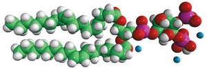 PI (3,4) P2：18:1 1,2-dioleoyl-sn-glycero-3-phospho-(1′-myo-inositol-3′,4′-bisphosphate) (ammonium salt), powder