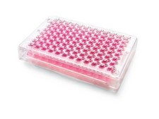 Millicell® 96 well Plates pore size 0.4 μm, polycarbonate membrane, sterile, Tissue Culture (TC)-treated surface, automation compatible, pack of 5 × with 96-well receiver plate