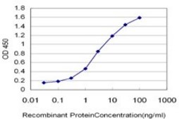 Monoclonal Anti-PTPNS1 antibody produced in mouse clone 1D10, purified immunoglobulin, buffered aqueous solution
