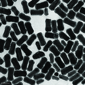 Gold nanorods palladium coated, 25 nm diameter, 100 μg/mL in H2O, dispersion