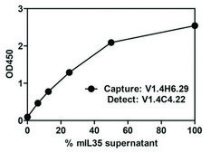Monoclonal Anti-EBI-3-Biotin antibody produced in mouse clone V1.4C4.22, purified immunoglobulin
