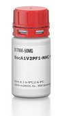 BocA1V2PF1-NHC6-NH2
