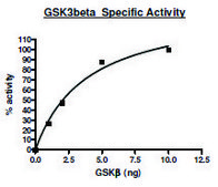 GSK3β active human recombinant, expressed in baculovirus infected Sf9 cells, ≥80% (SDS-PAGE)