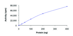 CDK1/CyclinB1, active, GST tagged human PRECISIO® Kinase, recombinant, expressed in baculovirus infected Sf9 cells, ≥70% (SDS-PAGE), buffered aqueous glycerol solution