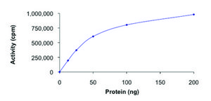 ROCK2 (5-554), active, His tagged human PRECISIO® Kinase, recombinant, expressed in baculovirus infected Sf9 cells, ≥70% (SDS-PAGE), buffered aqueous glycerol solution