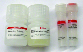 Extract-N-Amp™ Seed PCR Kit sufficient for 100 extractions, sufficient for 100 amplifications
