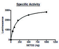 SETD2 active human recombinant, expressed in E. coli, ≥70% (SDS-PAGE)