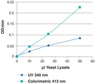 Glutathione Reductase Assay Kit Sufficient for 100 colorimetric tests